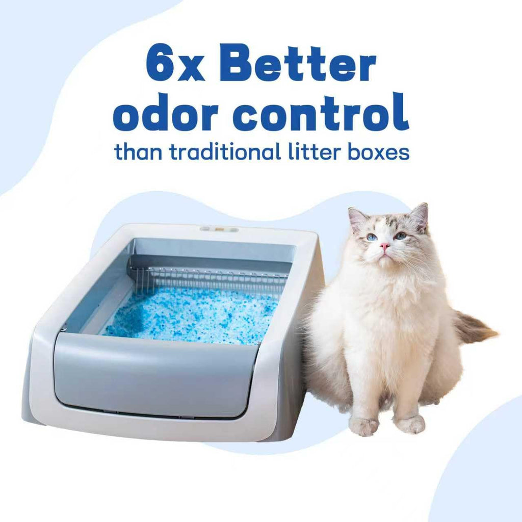 Crystal Cat Litter and Disposable Litter Trays 5 Sets X643471
