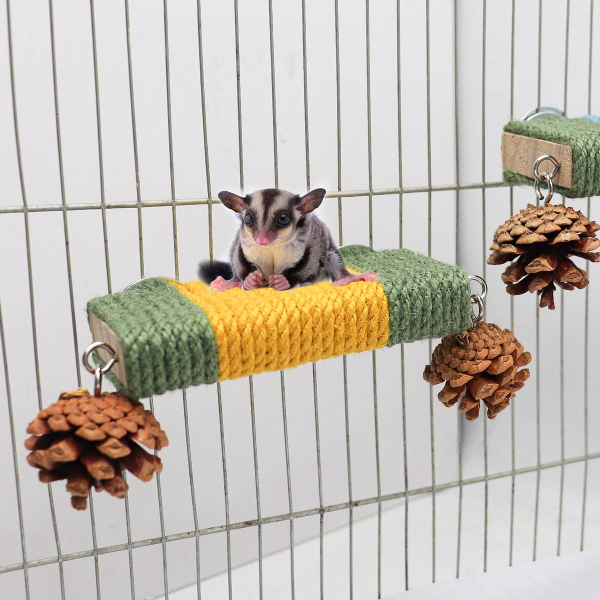 2 Pack Cage Platform with Rope and Pine Cone Decor G536