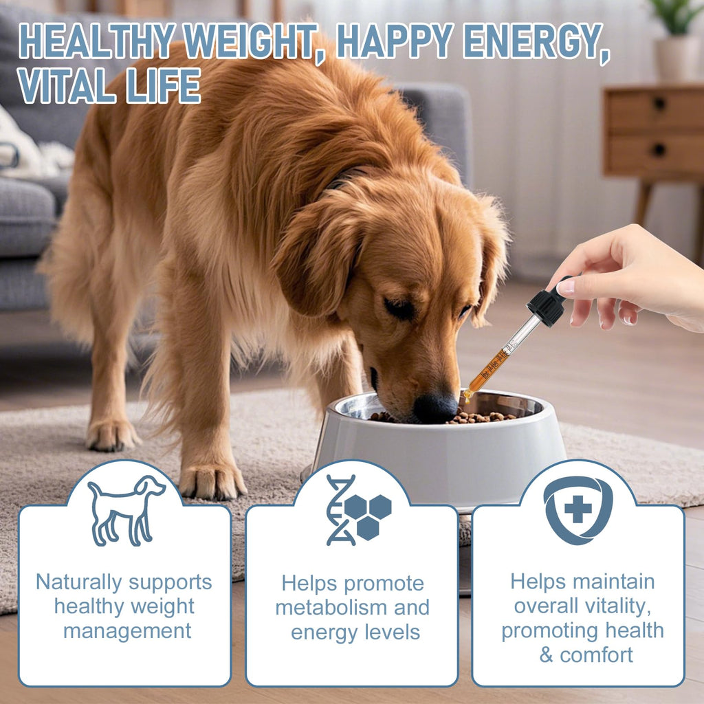 Dog Weight Management Drops L79164