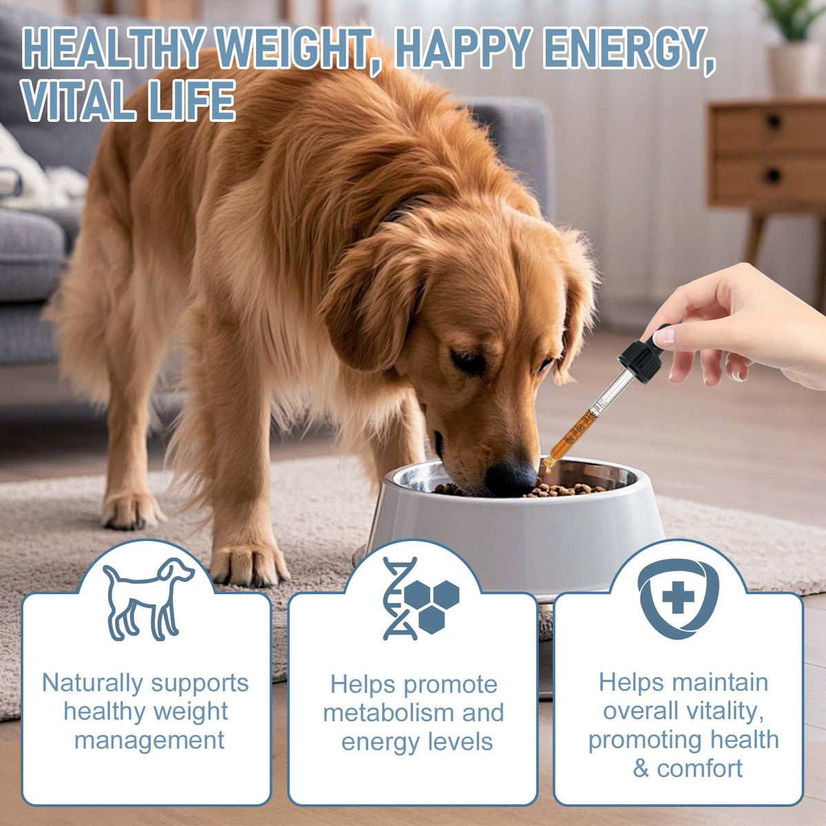 Dog Weight Management Drops L79164