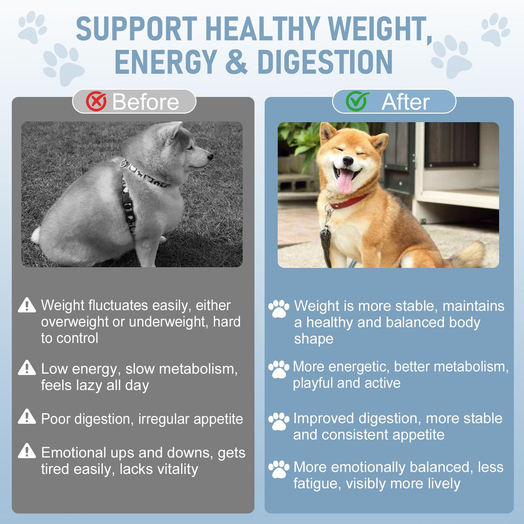Dog Weight Management Drops L79164