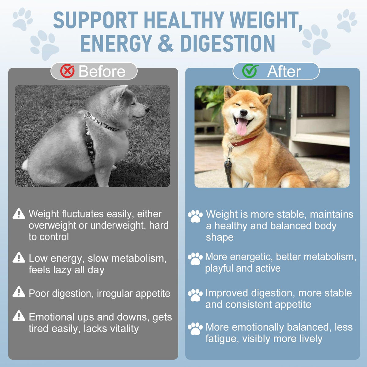 Dog Weight Management Drops L79164
