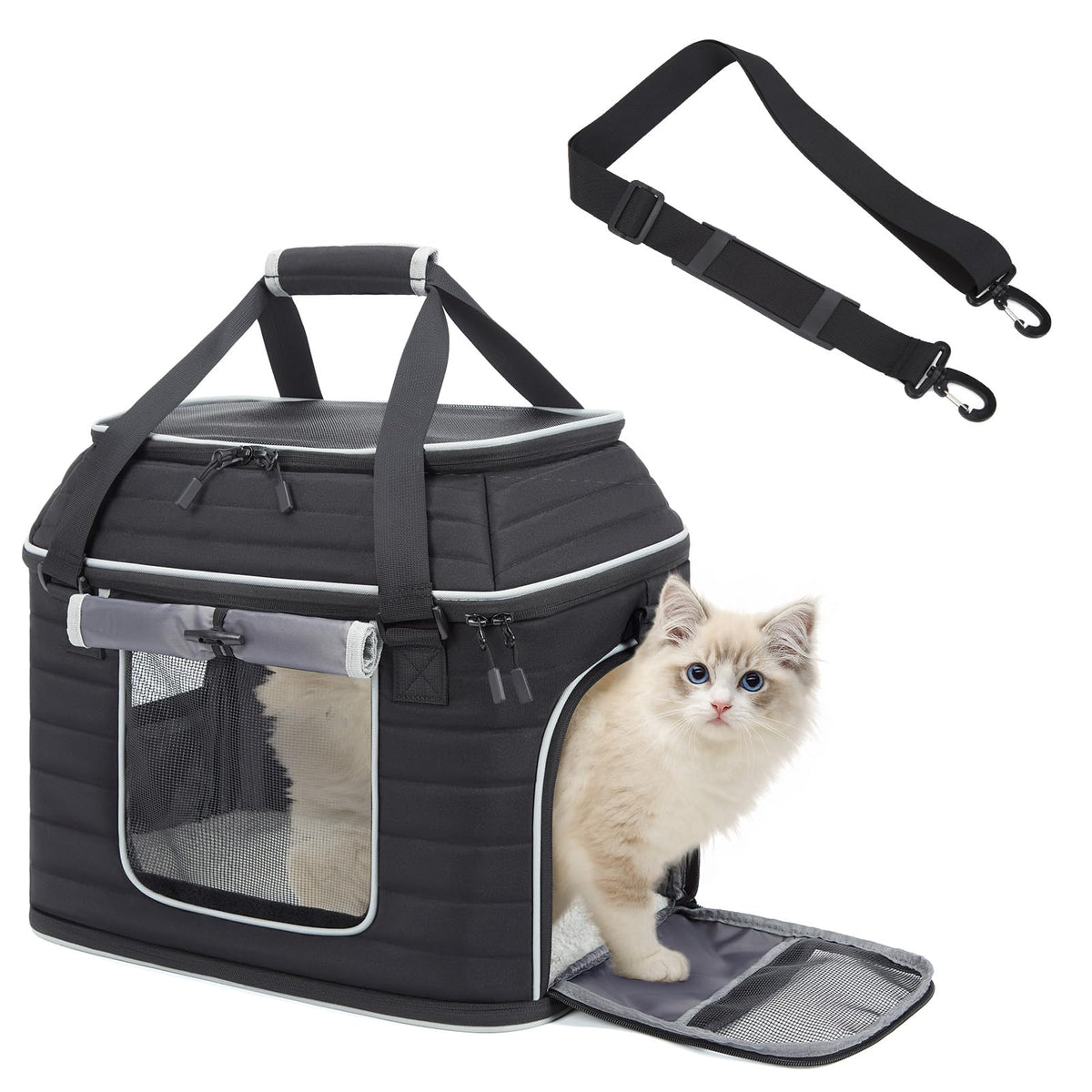 Airline Approved Soft-Sided Pet Carrier for Cats/Dogs Up to 20 Lbs A76662