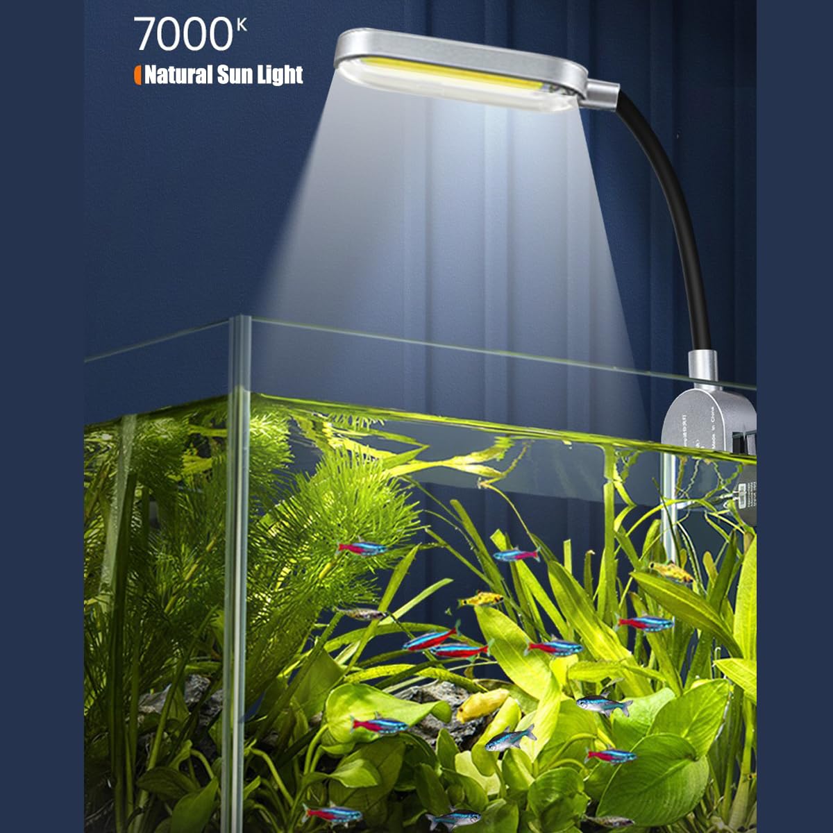 1.5 Gallon Glass Aquarium Starter Kit with Filter and LED Light A289
