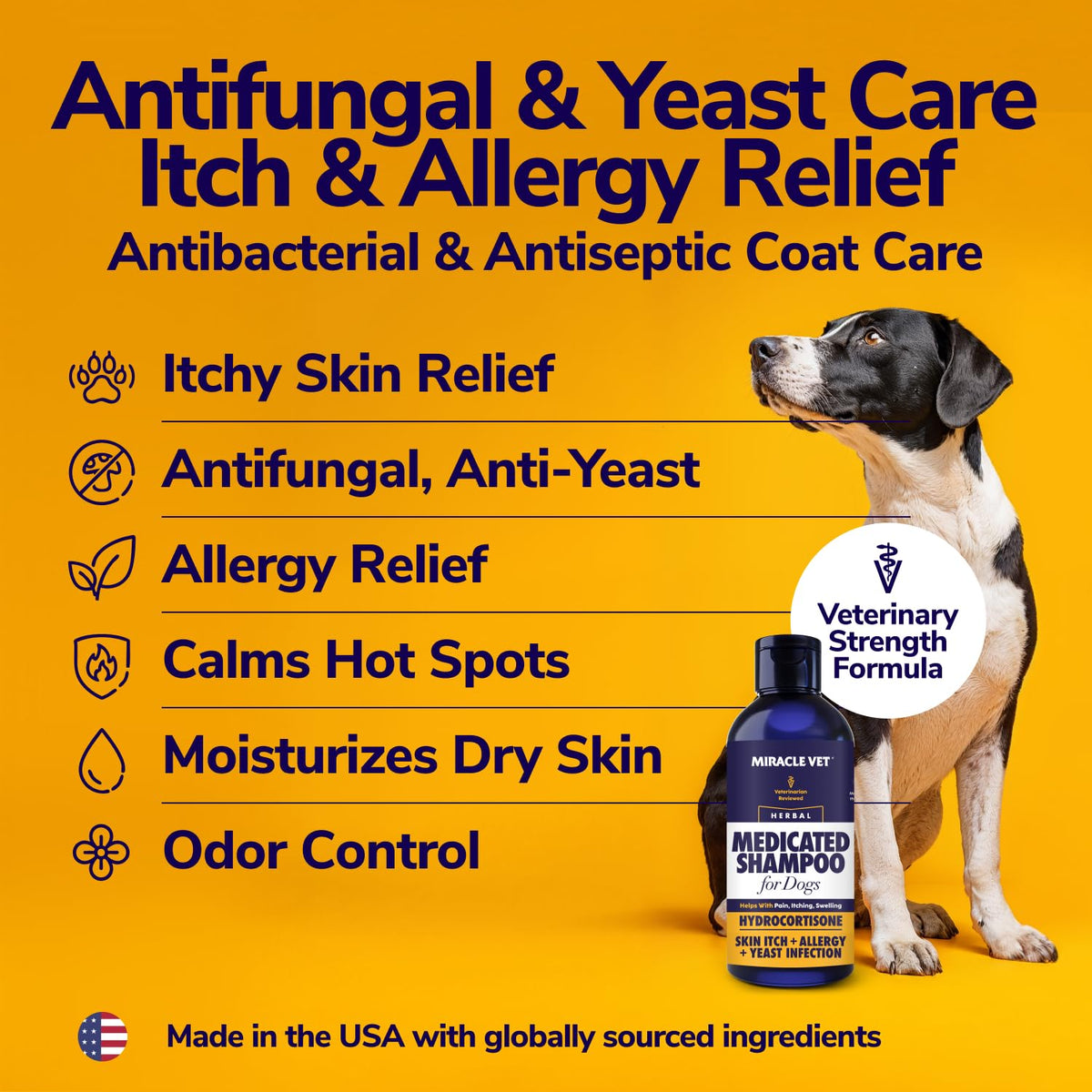 Medicated Dog Shampoo 8 fl oz O553