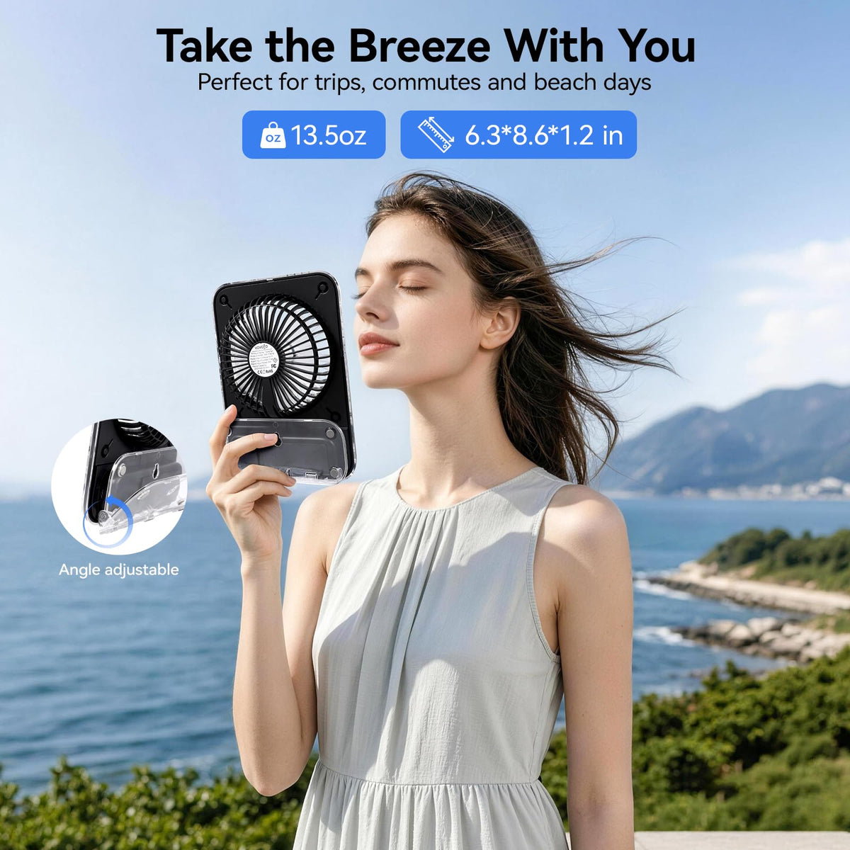 8.6 Inch Rechargeable Portable Desk Fan G6260