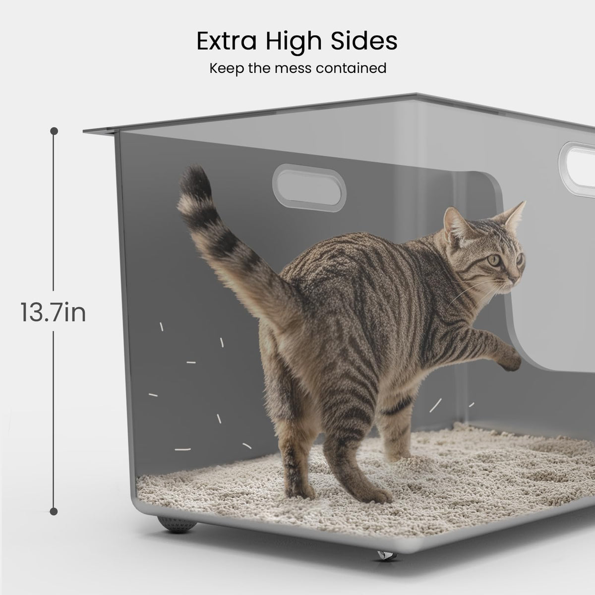 XL Stainless Steel Cat Litter Box with Low Entry N262