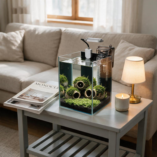 1.5 Gallon Glass Aquarium Starter Kit with Filter and LED Light A289