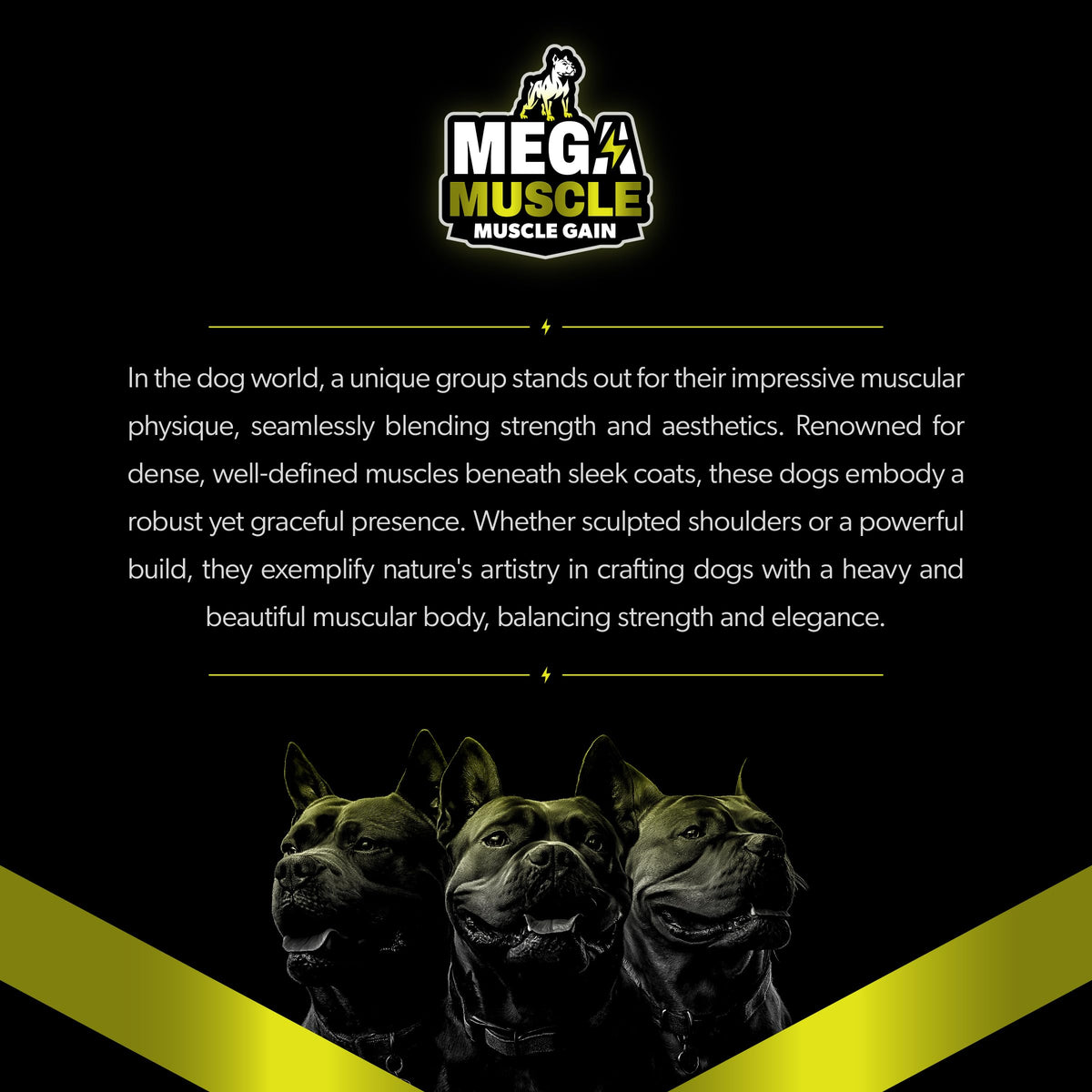 Chicken Flavor Dog Supplement I522