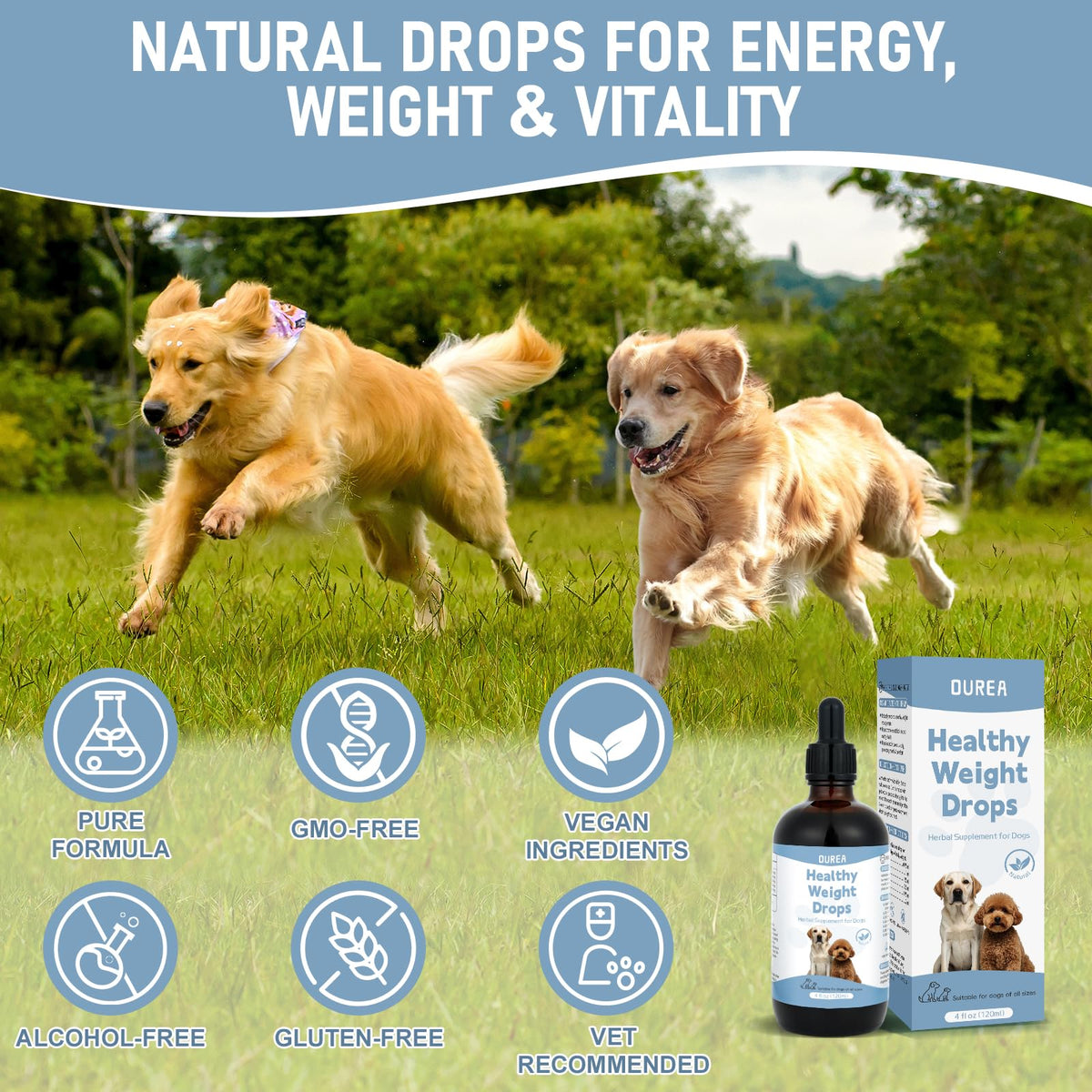 Dog Weight Management Drops L79164