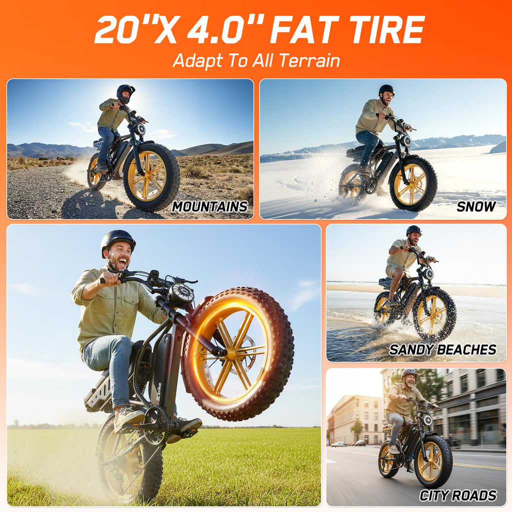 Electric Bike 48V Removable Battery O470587