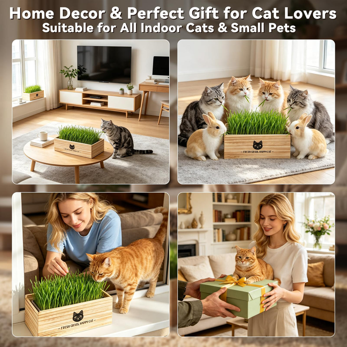 Cat Grass Kit Indoor Non-GMO Wheatgrass Seeds Growing Set I5402
