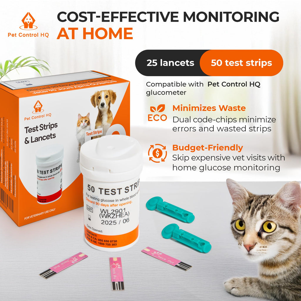 50 Test Strips Glucose Monitor B813001