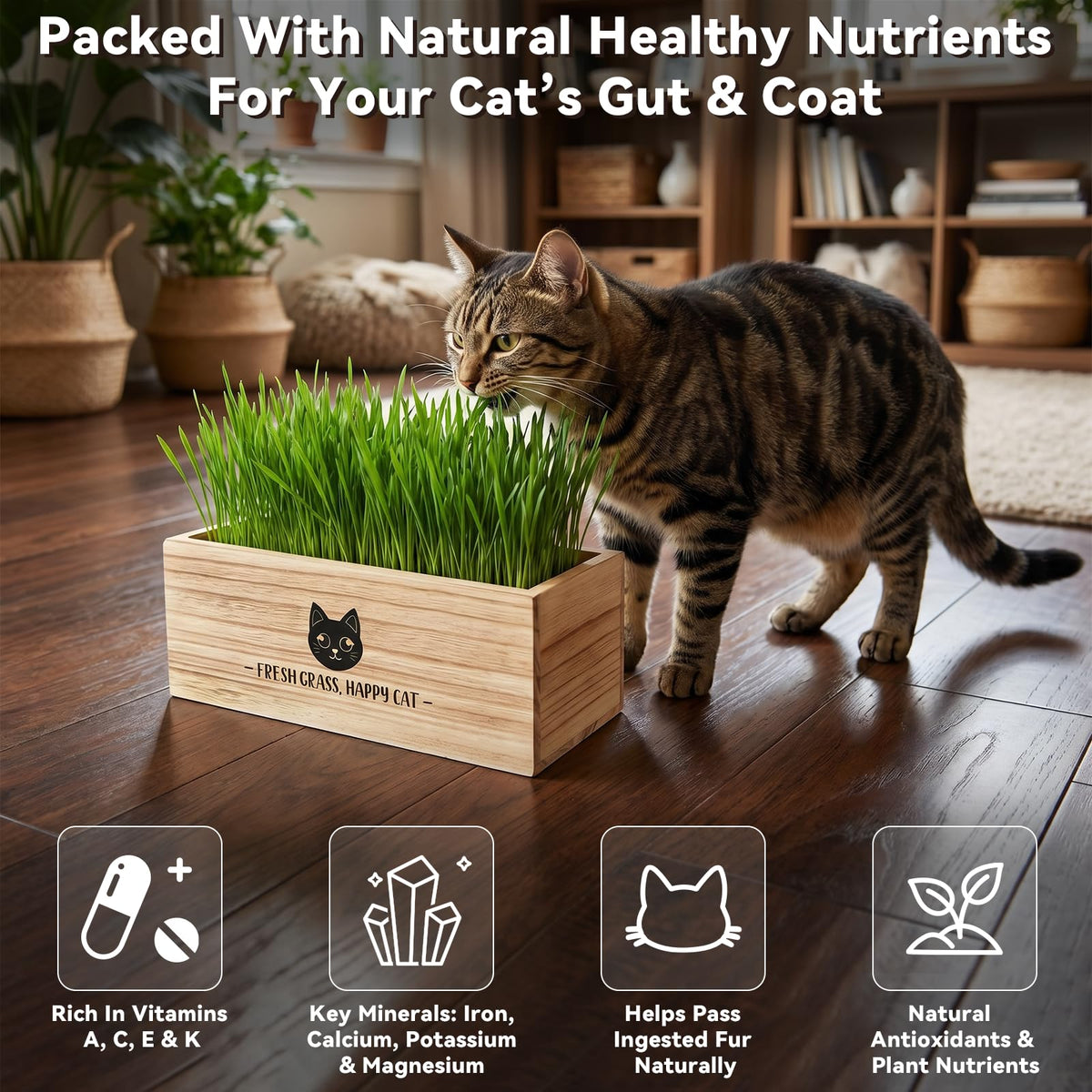 Cat Grass Kit Indoor Non-GMO Wheatgrass Seeds Growing Set I5402