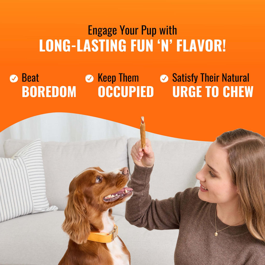 Long-Lasting Dog Treat for Large Dogs, 6 Count G902471