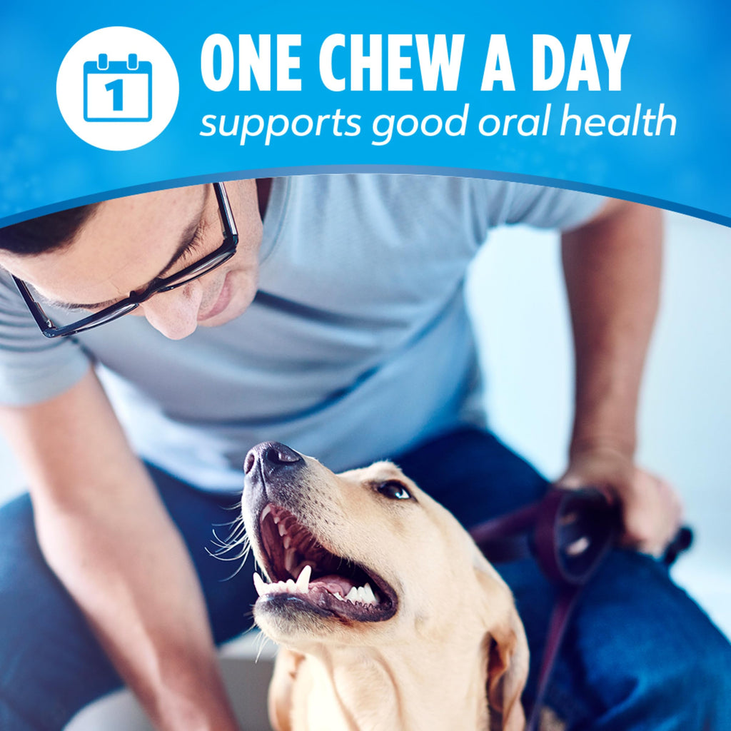Daily Dental Chews for Large Dogs, 18 ct K47568