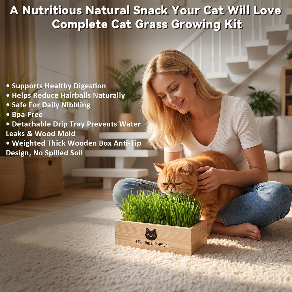 Cat Grass Kit Indoor Non-GMO Wheatgrass Seeds Growing Set I5402