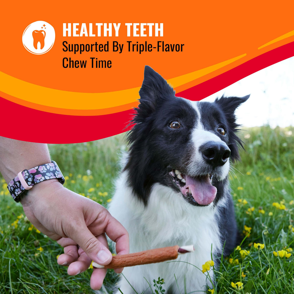 Long-Lasting Dog Treat for Large Dogs, 6 Count G902471
