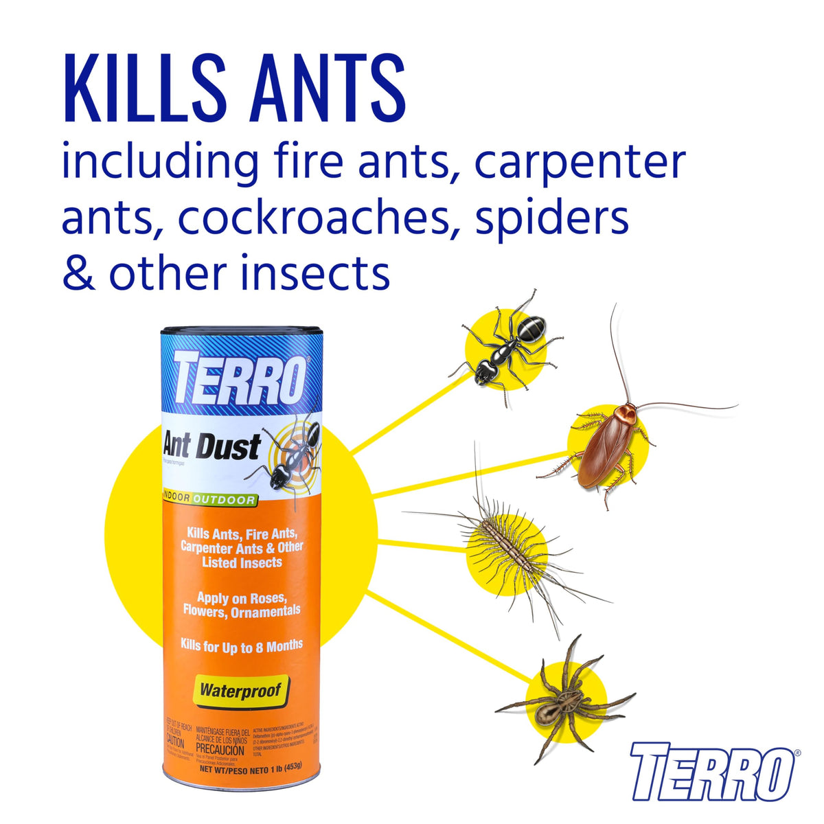 Ant Dust P563