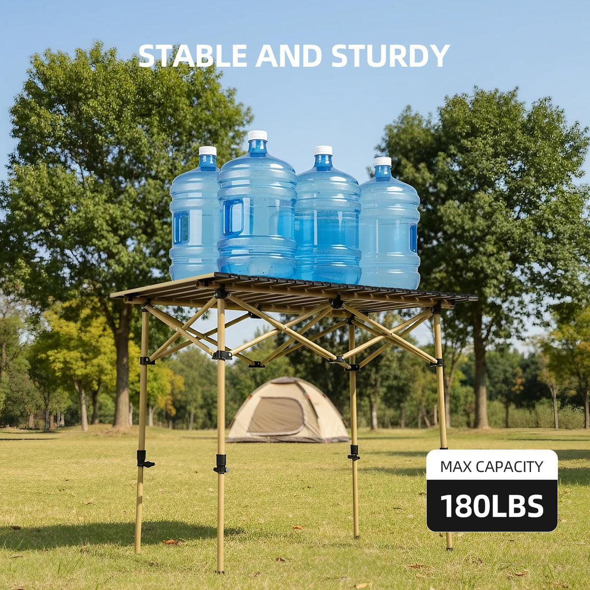 Folding Camping Table with Carry Bag Q693713