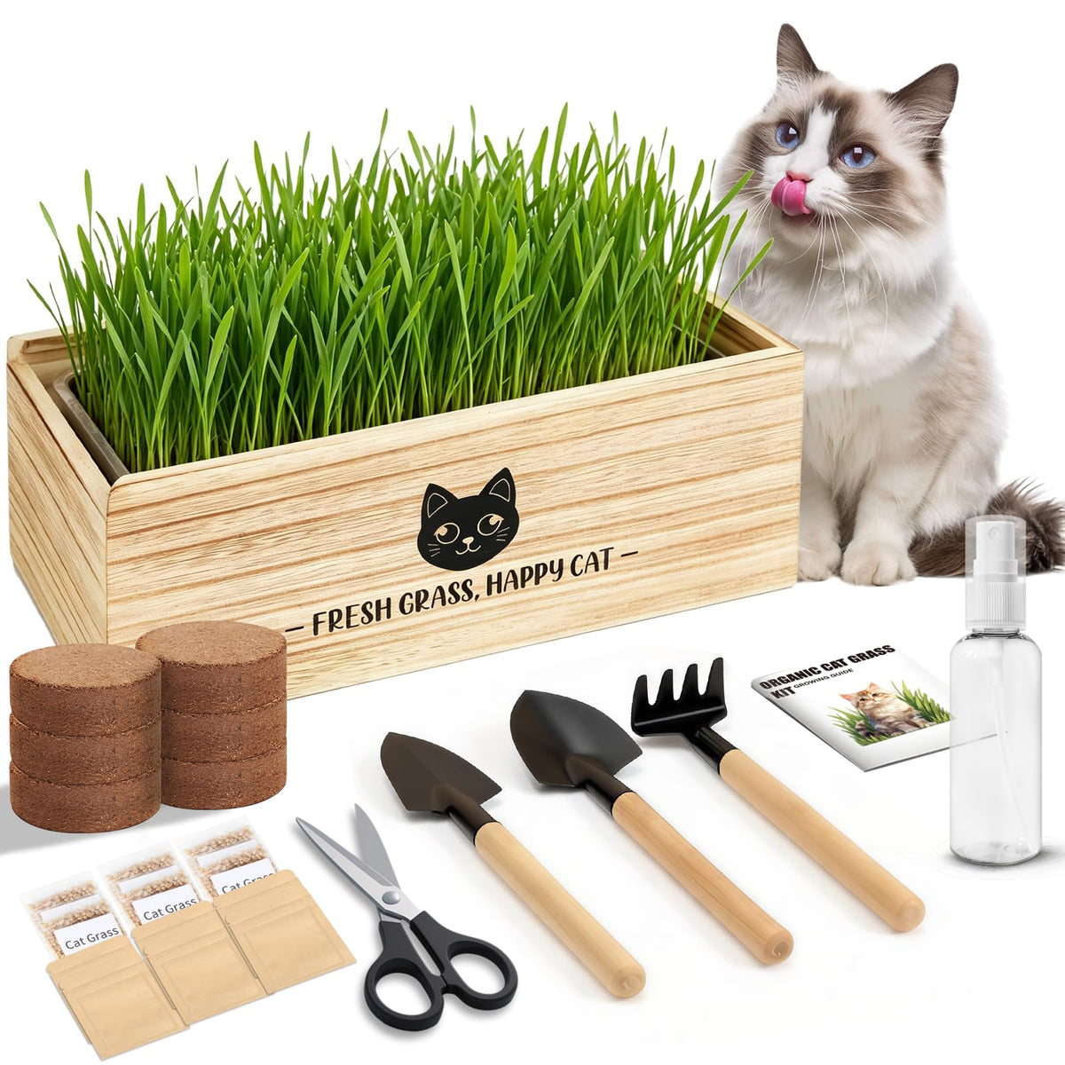 Cat Grass Kit Indoor Non-GMO Wheatgrass Seeds Growing Set I5402