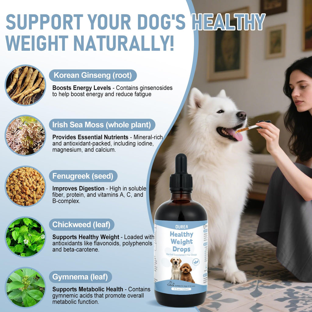 Dog Weight Management Drops L79164