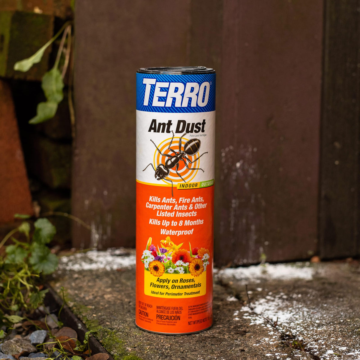 Ant Dust P563