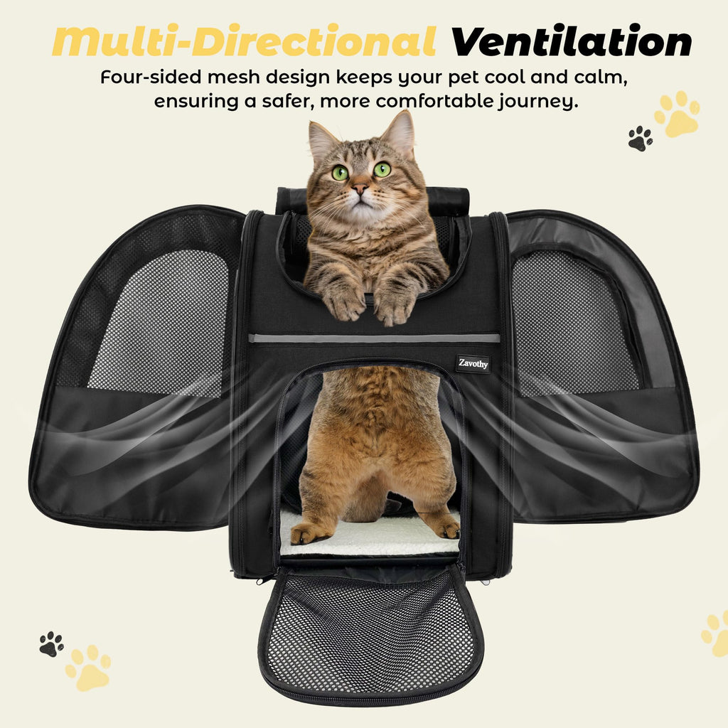 Expandable Airline Approved Cat Backpack Carrier with Breathable Mesh B184353