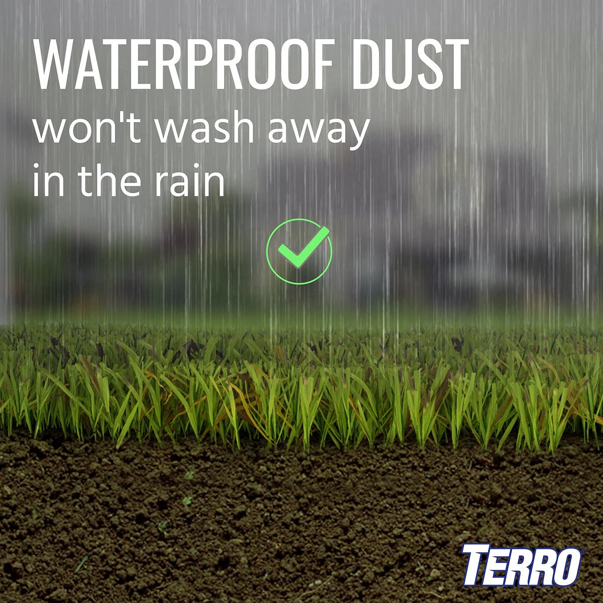 Ant Dust P563